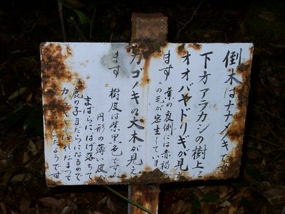 城山登山道