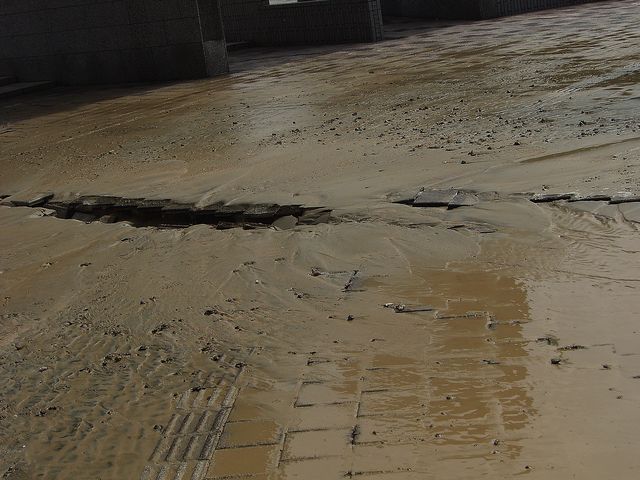 福岡市博物館
