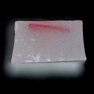 パラフィン切片