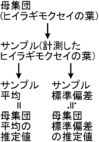 WcƃTv