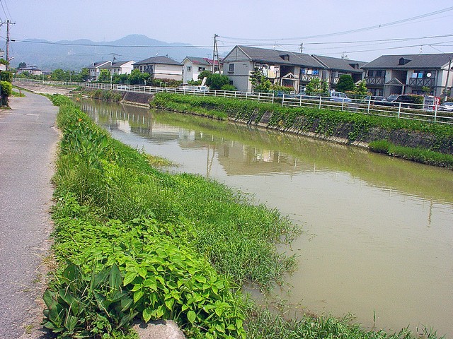 秋光川・住宅地