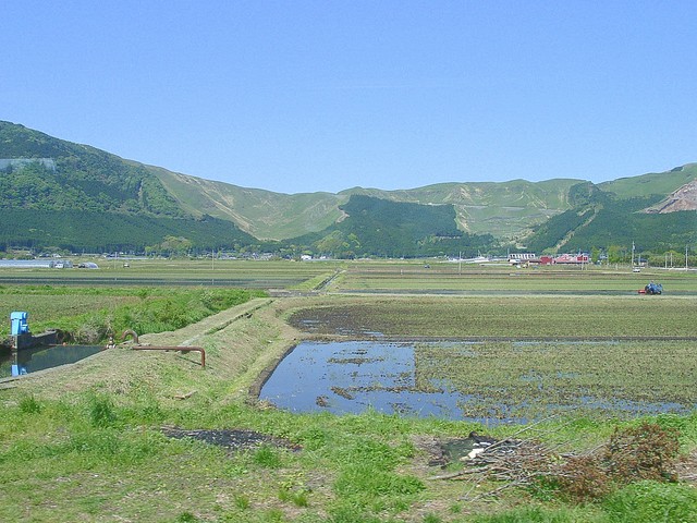 阿蘇