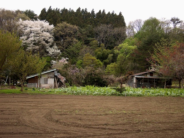 出作り小屋