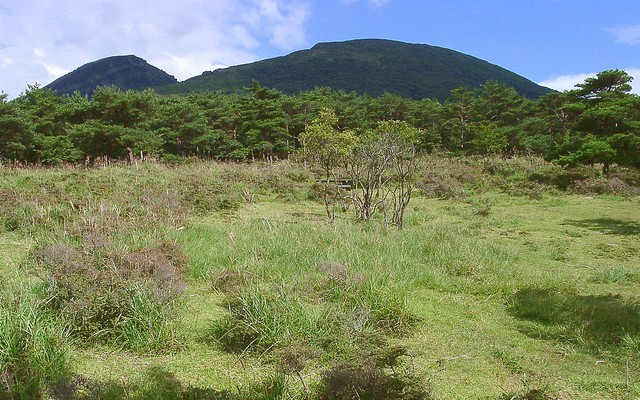 鹿と植生