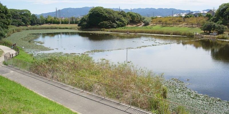 千鳥ヶ池