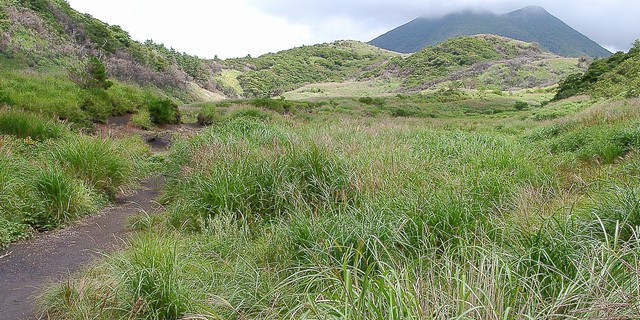 雨ヶ池