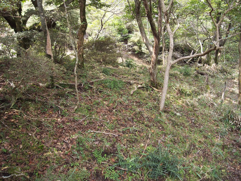 鹿と植生