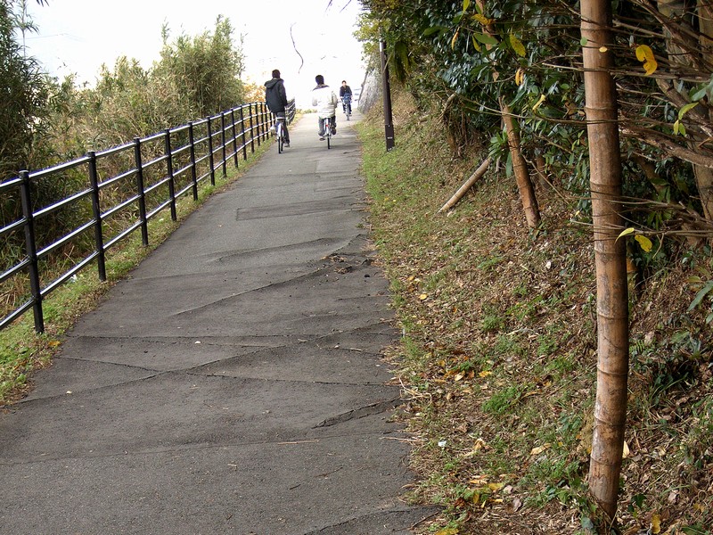 竹林