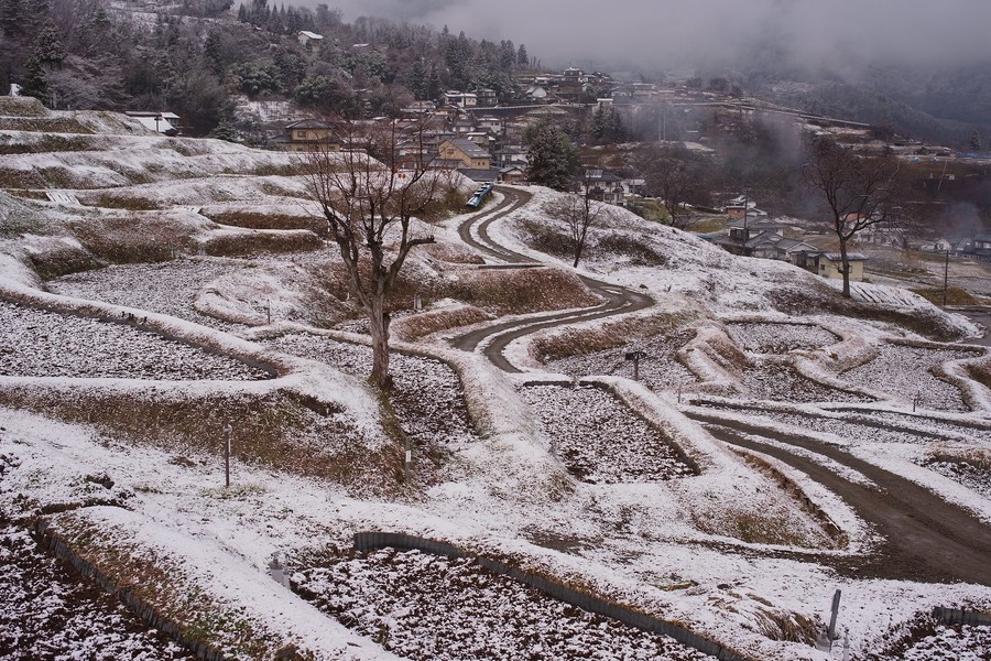 棚田
