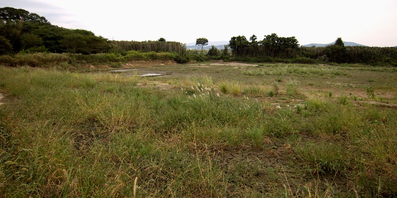遠賀川