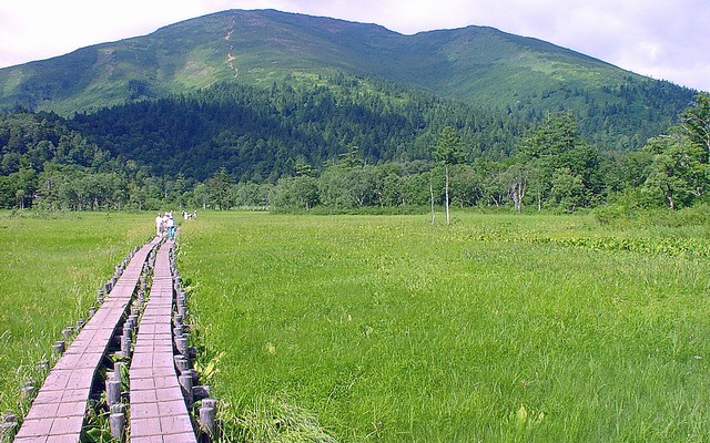 尾瀬