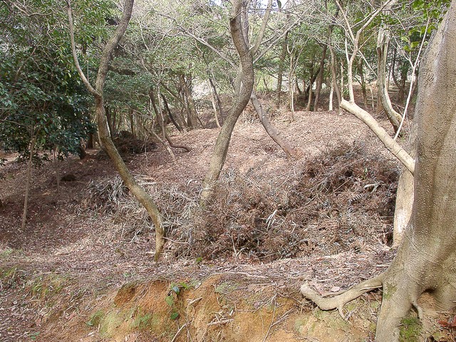 里山の手入れ