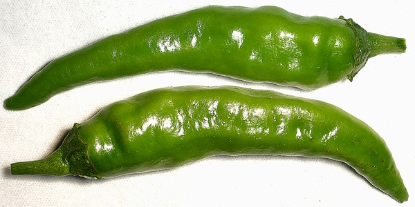 トウガラシ