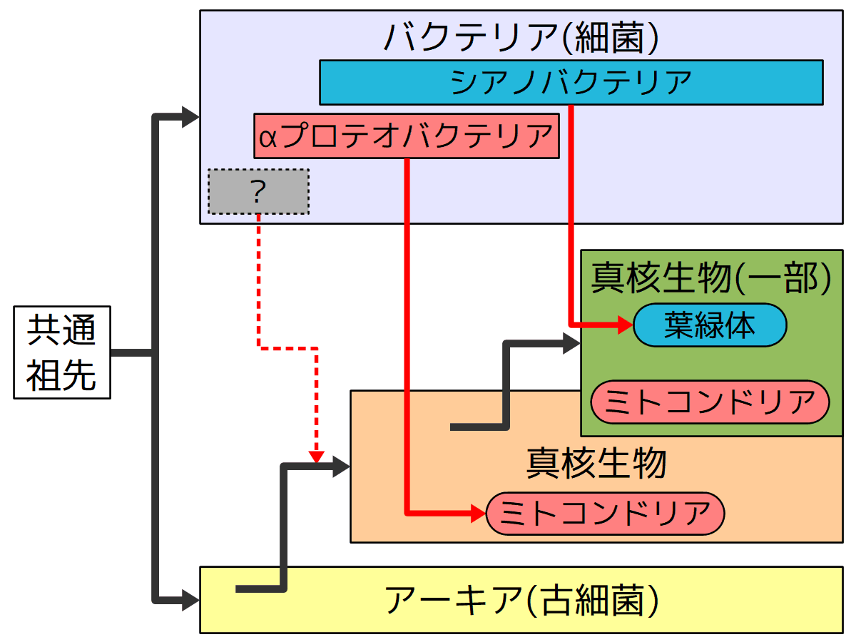 3ドメイン