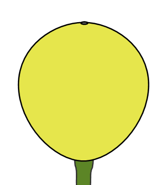 子房に周生
