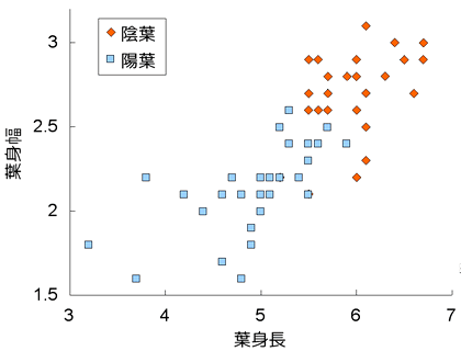 スダジイ