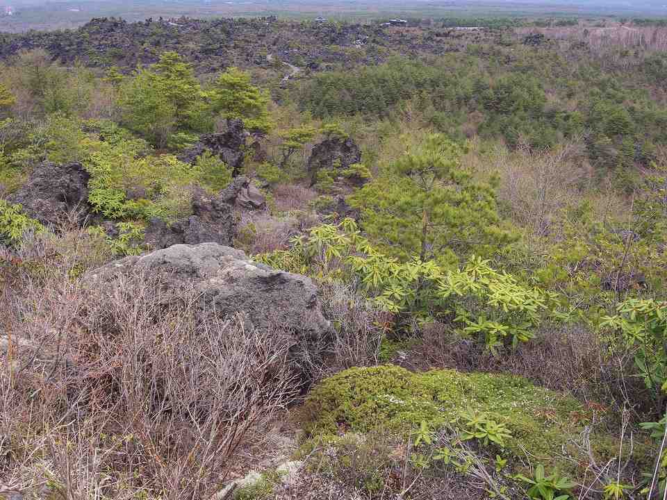 溶岩地