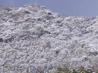 城山
