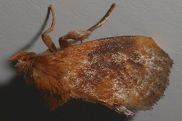 eOCK CKȃCK