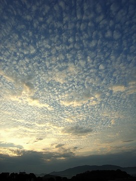 20051102
