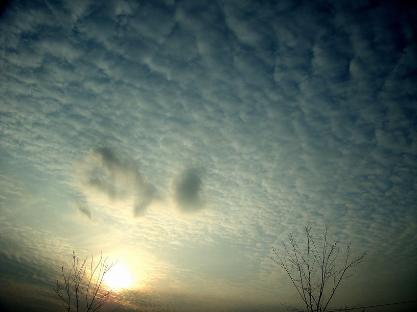 20051210
