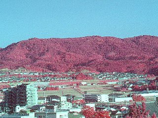 cn