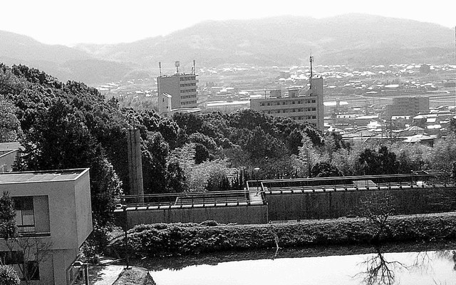 自然教棟から南(赤色)