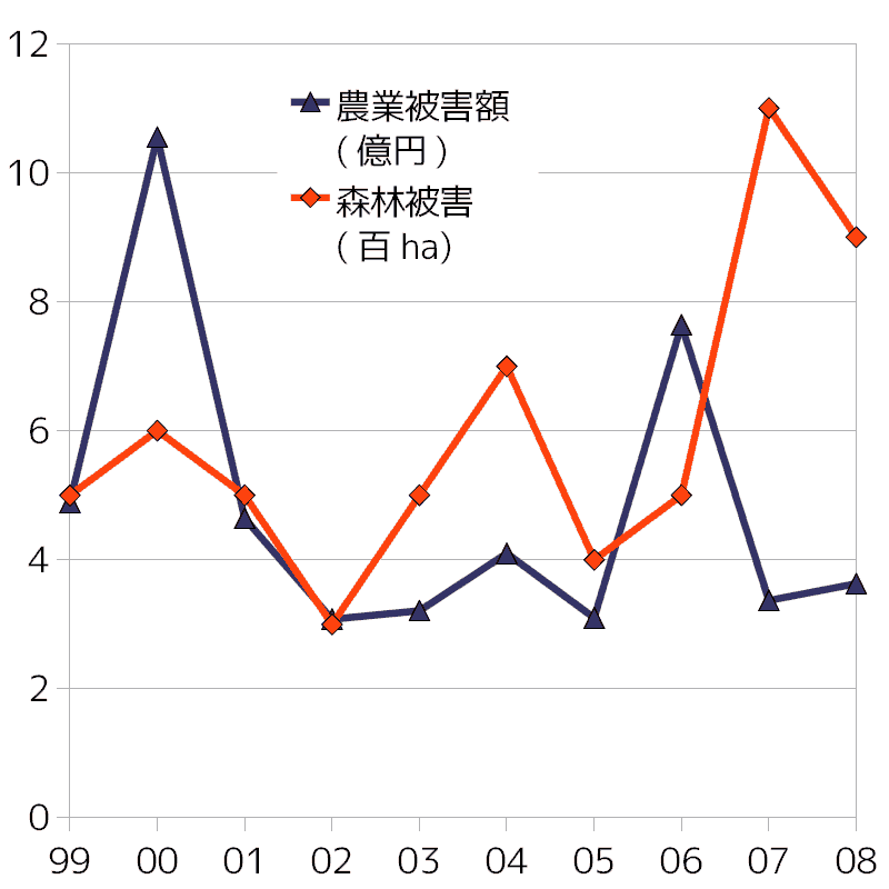 クマ被害