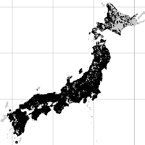 タヌキ